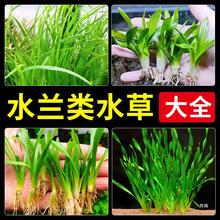 ˮ�mˮ�ݴ�Сˮ�mŤ�m�����m���~ˮ�²����ǰ�������~���쾰