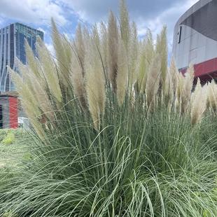 ���ڰ���Ȕ���Ի���ͥԺ�����_���������ļ����G�JȔ�݈@���R�Nֲ