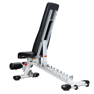 Professional Dumbbell Bench, Commercial Adjustable Decline Bench Press, Fitness Chair, Home Multi-Functional Sit-Ups and Bird Bench