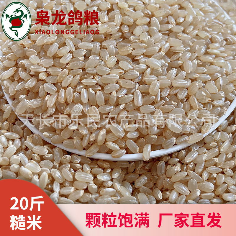 油葵20斤 红花籽20斤小绿豆20斤糙米20斤赛鸽鸟食浙江沪皖包邮