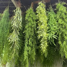 �羳���洹�� �����Gֲ �ڒ첨˹�ݿ՚�ݴ���ֲ�����ֲ�����l