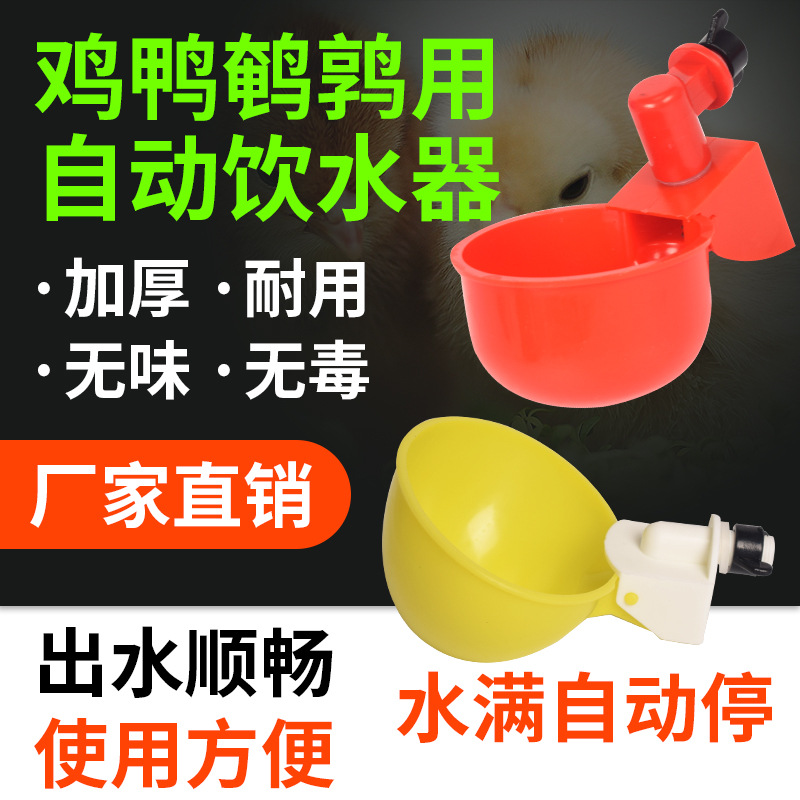 Pollo agua potable dispensador automático de agua alimentador de agua de pollo tazón de agua dispensador de agua cría de aves de corral pato ganso artefacto de Paloma