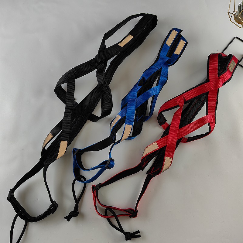 Harnais de traîneau d'extérieur pour chien d'entraînement de poids, Husky, Samoyède, laisse de transport pour snowboard_voghion.com