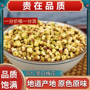 ���u��÷���G��÷�G÷����Ѭ���÷����a��ֱ�N�ݲ���؛��؛