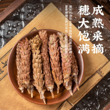 �Ŀ��� ��ë�Ŀ����Ĺ������Ŀݲ� ����ԭ�Ϗ͏B�¿��ė��Źù���