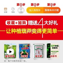 ���J��С���J�N�������������ˌ���ȫ�����^�p�ش�̖���ͺ�������