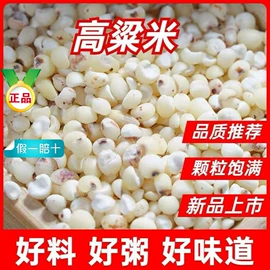 其他药食同源;花果茶;其他香辛料