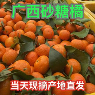 ���S�۽�Сؕ������ɳ�����ӱ�Ƥ�������rˮ��ɰ���������l�S���l