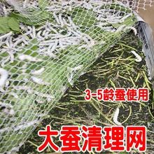 大蚕清理网蚕宝宝养殖卫生工具网清桑叶残梗蚕沙桑蚕饲养过滤用网