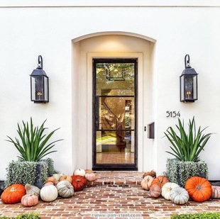 ������F�OӋ�����T�����̹��S���F�OӋƽ�_�T