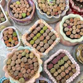 极品饼干生石花多肉植物组合10颗母本