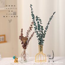 ������ȼ����~�����ɻ��Ӽ��Ʒ�͏d�[����Ȼ�滨С����ܛ�b���l