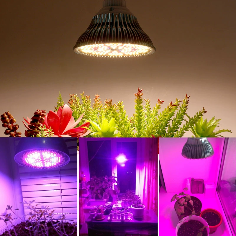 Directional bulb, plant lamp solar-powered, LED socket, fill light, 38, comfortable light spectrum