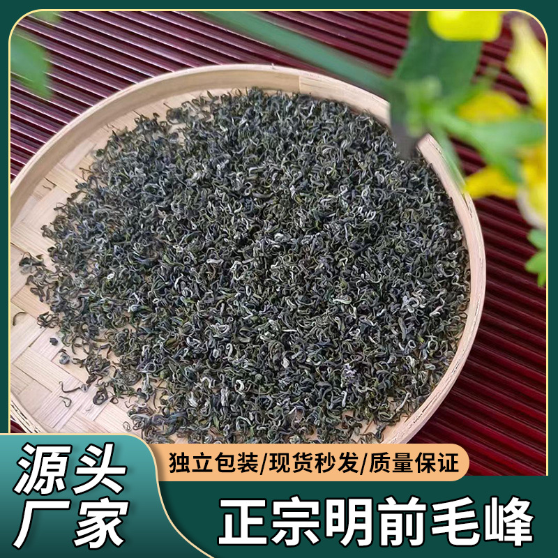 25年新茶明前毛峰贵州湄潭高山云雾绿茶特级浓香型茶叶散装一斤装