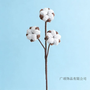 �}�Q��ϵ�п羳���Që������������Ʒ�}�Q���޻��}�Q���˻�֦