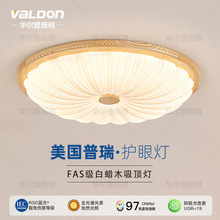 ϞľLED픟2025¿oԭľľҕ͏dL