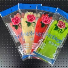 ����Ů�������z���׸ߏ����z�҄��坍�N�����p����ܛ�����`������