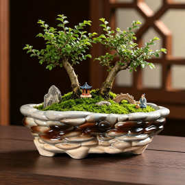中式古韵简约陶瓷花器带孔设计透气排水土培盆景绿植百搭陶瓷花盆