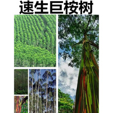 �������N�� ����V��9̖�������������N�� �е���N ���N��