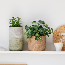水泥花盆北欧风格简约创意个性大口径绿植盆栽绿萝多肉亚麻花盆