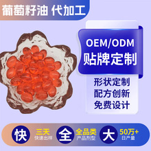 �����������z�ǹ�����͸���|���cõ����������ܛ�z���N��oem����