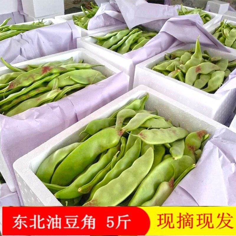 正宗东北油豆角一点红豆角每天新鲜蔬菜九月青现摘现卖开锅烂包邮|undefined