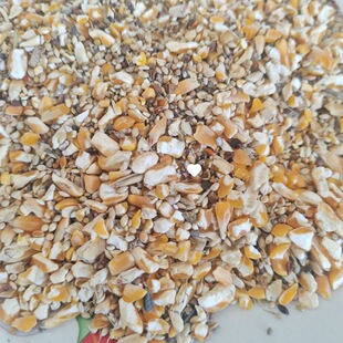 ������ɫ���ӹ��Ӳ���ι�u���������u����~�Zʳ��C���b