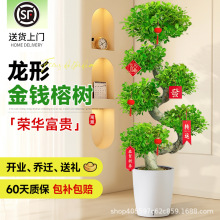 ���ν��X����I�k����ǰ̨���͓u�X�����ԾƵ�סլ��ؔ�Ř��Gֲ