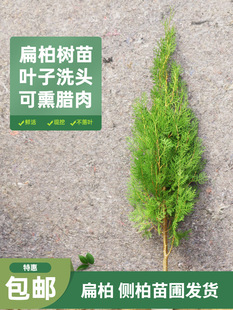 ��ؘ��� �Ȱ�֦�������ش��ɰؘ������������~�ӿ�Ѭ�D���ļ���