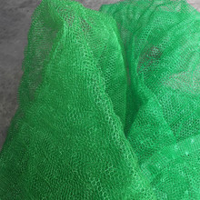 ���ϾGɫ�o�����Sֲ���W �o���õĲ��ѾW�������L�����o��