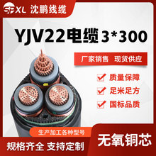 yjv~о߉|10kv yjv22-3*240/300/400~о| SN