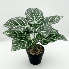 メーカー直販の多くのカラーサトイモの葉は緑の鉢植えの家のデスクトップ盆栽の室内の造花の装飾の卸売りをシミュレーションします。