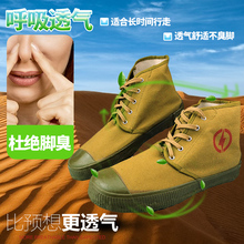 ���l�^��Ь늹�Ь10kv늹����I�ڱ�늾W�߉��ߎͽ��͸����Ů