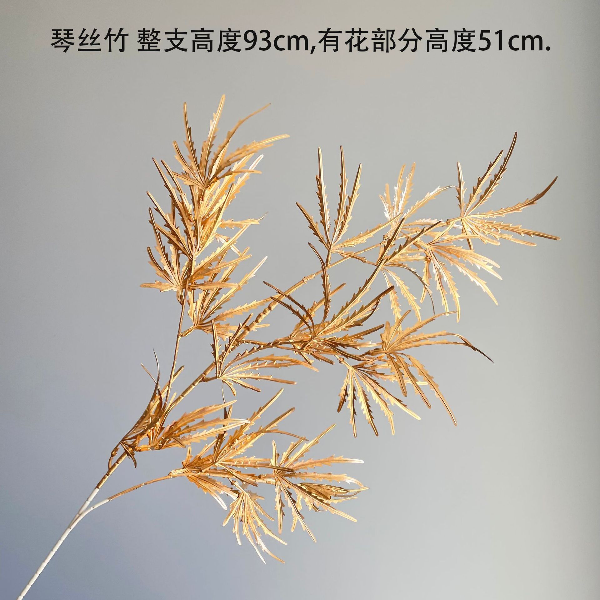 진시주