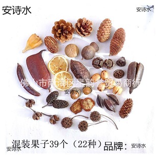 �ɻ��ɹ��M�����b�׃��@�ֹ����ϰ��ɹ�����ɻ��[�����յ���