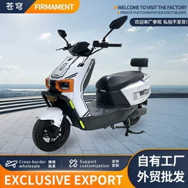 其他电动车;电动自行车;其他摩托车