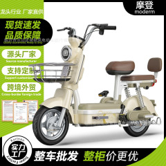 源头工厂外贸整柜国标成人助力两轮电瓶车电动自行车批发跨境电车