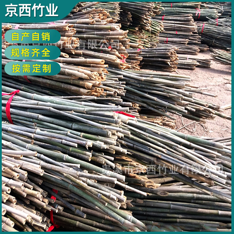 产地销售 西北地区农用4米小竹竿 菜架杆 竹架竿