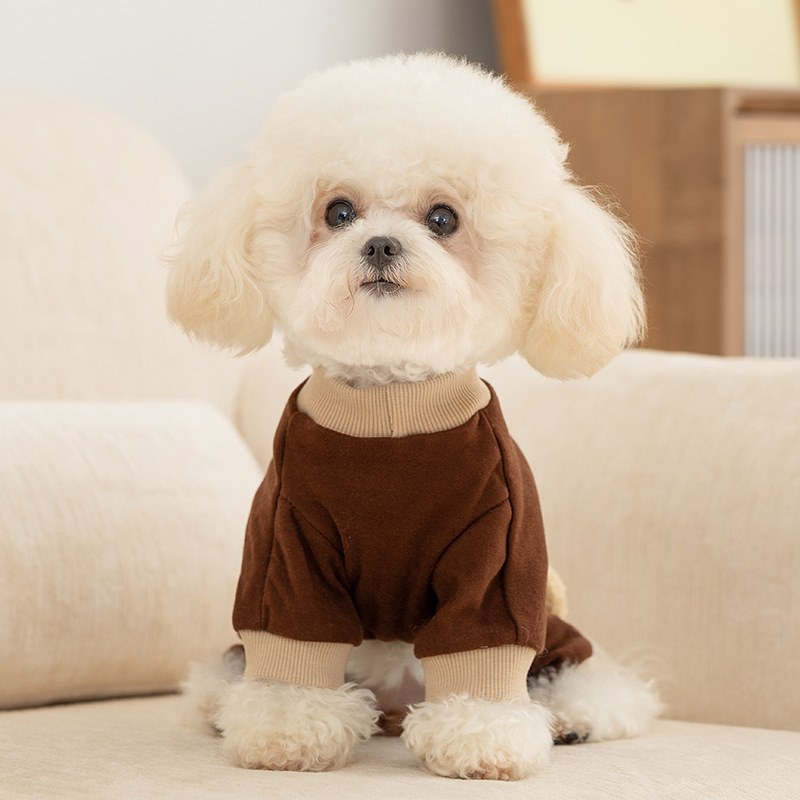 Brown bolsillo estereoscópico osos de cuatro patas ropa doméstica puede traer perros pequeños gatos de otoño ropa de perro delgada image 4