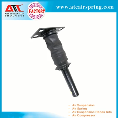 assembly 3595977C95 3595977C96 – damping system