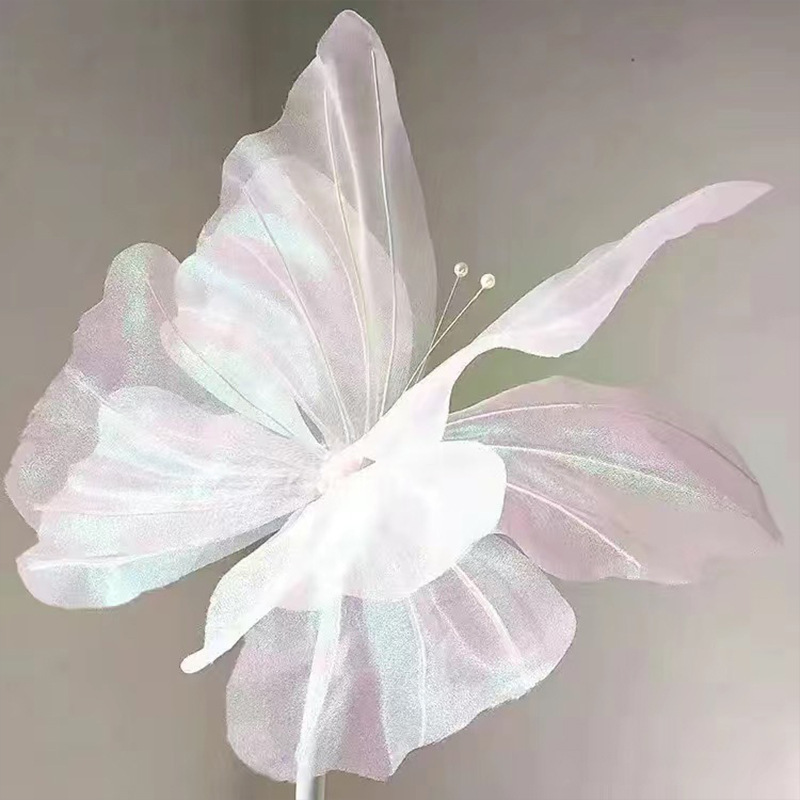 화이트(컬러실)