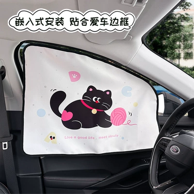 Side Curtain, Car curtains