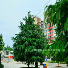 ѩɈ@ļG·е쾰ɘͺѩ