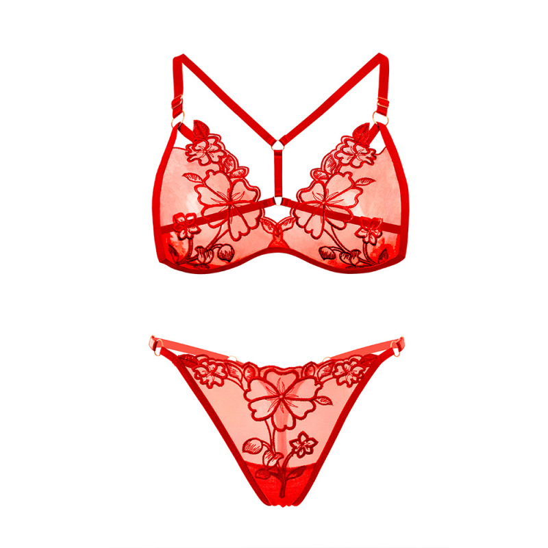 French-Style Sexy Bra Set with Embroidered Mesh, Hot Thong, Transparent Erotic Hollow-Out Lingerie, Wholesale from Manufacturer
