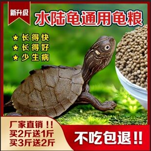 С����ˮ�����}���Z���X���{���~��������������a�}�������