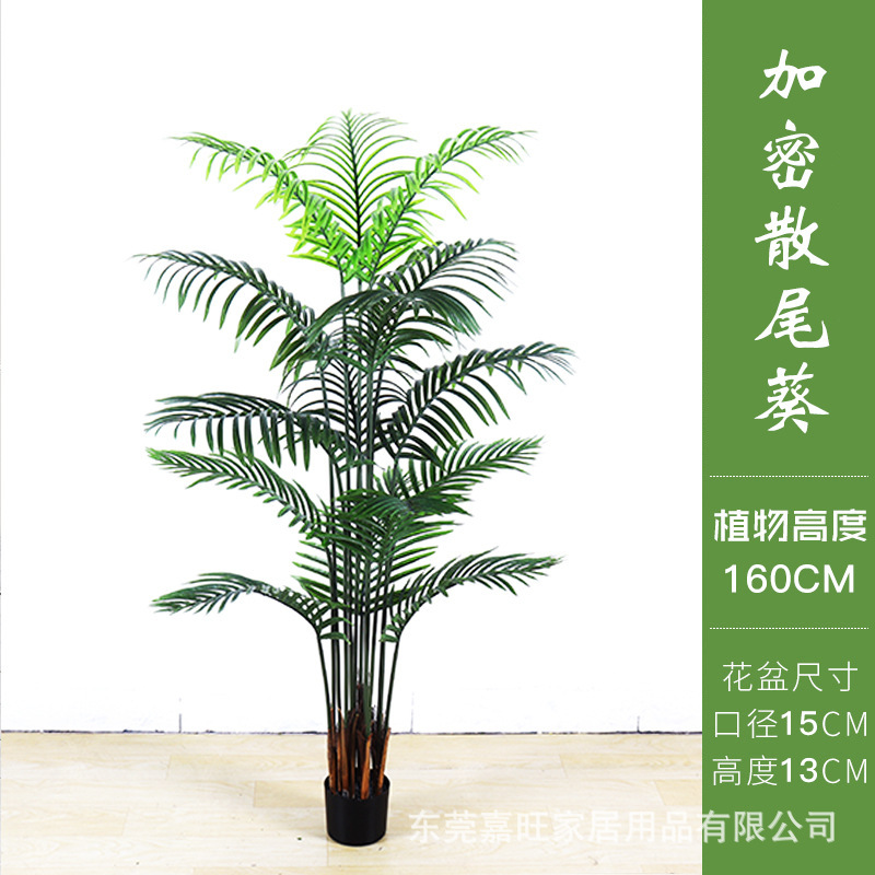 北欧シミュレーション散尾葵盆栽偽植物室内貴妃緑植盆栽鳳尾客間装飾着地置物|undefined