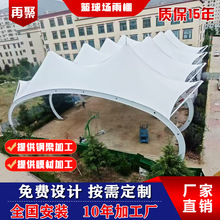 Ĥ�Y���w�����^����F�����͏S�����l䓼ӴּӺ��b�W���@���