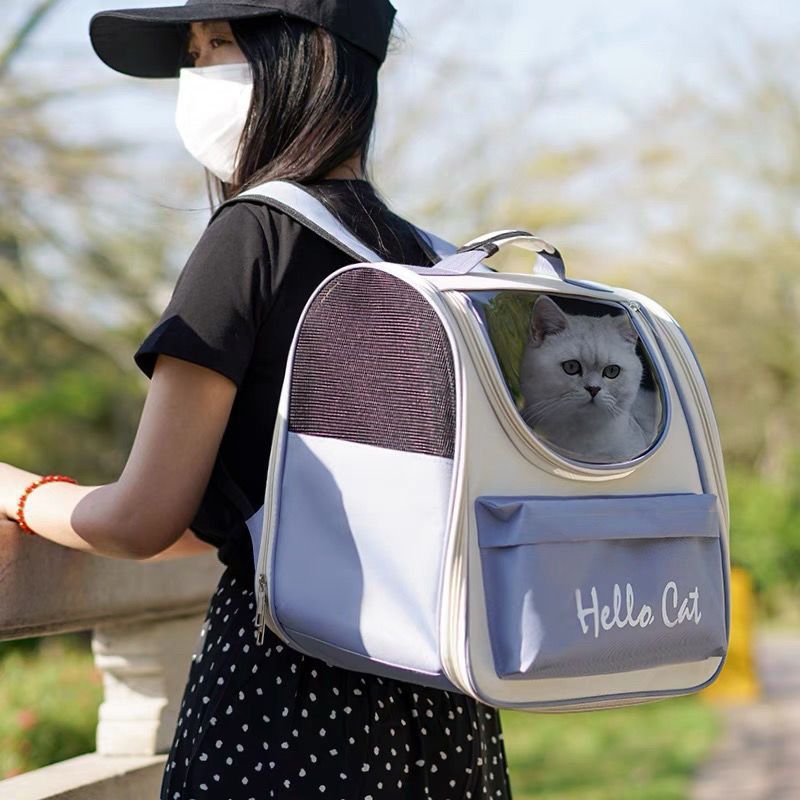 헤이즈 블루 - 10kg 이내