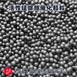 其他催化剂;滤芯