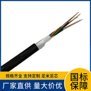 Outdoor optical cable GYXTW 2-core 4-core 6-core 12-core 24-core 36-core 48-core 96-core central bundle tube type optical cable